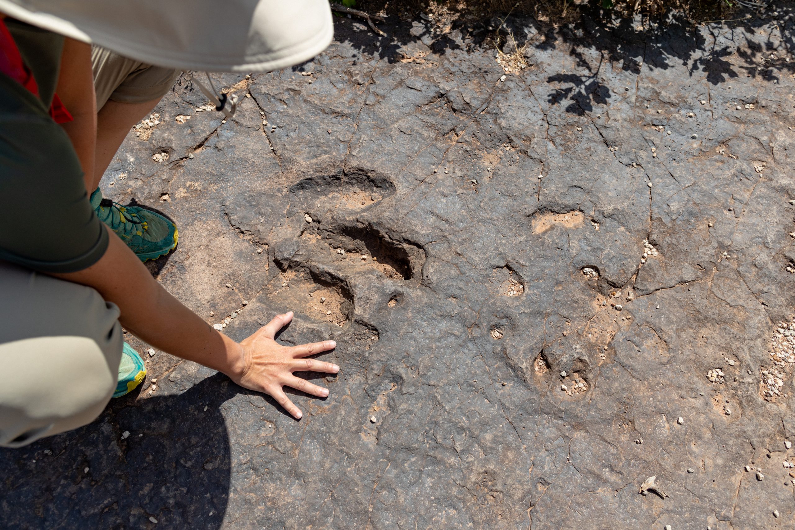 Dinosaur Footprints Fossils Discovered In China